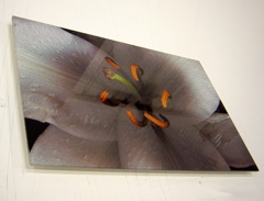 Acrylic Printing Acrylic Printing