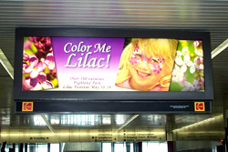backlit displays