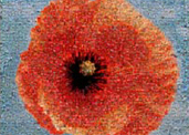 Get enlarge image