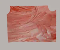 Abstract canvas print3