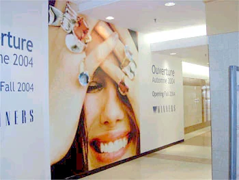Backlit display signs
