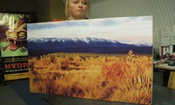 Canvas