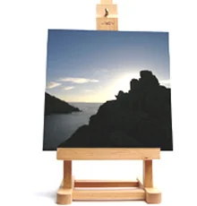 canvas onto print