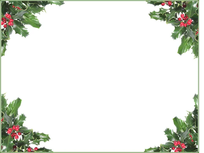 christmas offers