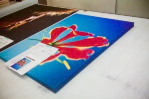Digital prints online