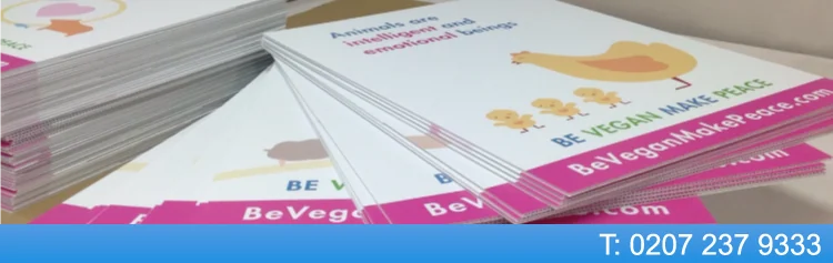 foamex printing