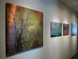 Photographic prints