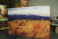 roller banners