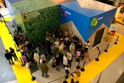 Sky exhibition graphics specialists