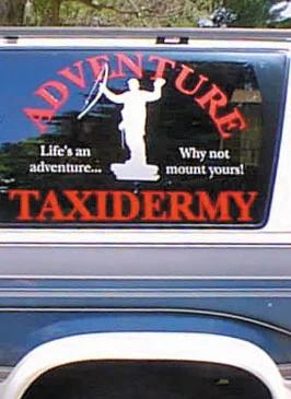 Window decal graphics